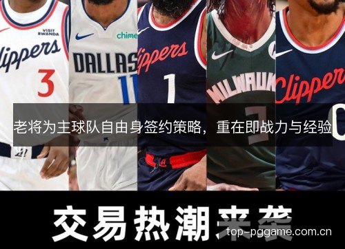 老将为主球队自由身签约策略，重在即战力与经验